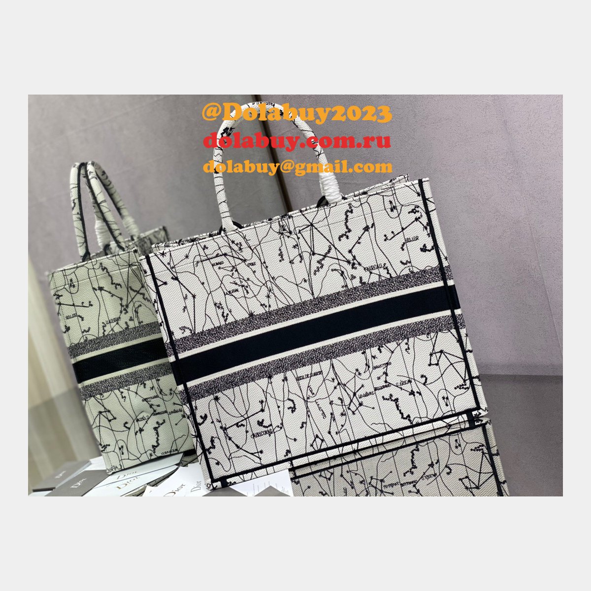 Replica Christian Dior Trotter Pattern Hand CD Book Tote Bag