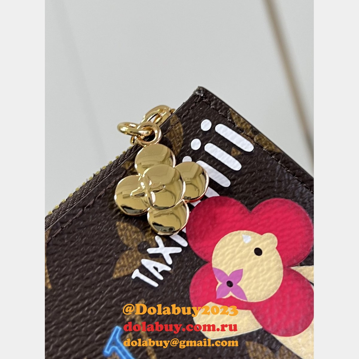 Louis Vuitton Designer Zippy Nano Noé Lisa Wallet Knockoff