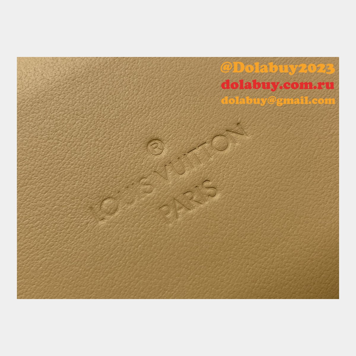 Louis Vuitton M12615 Bone Wearable Wallet Monogram Bag