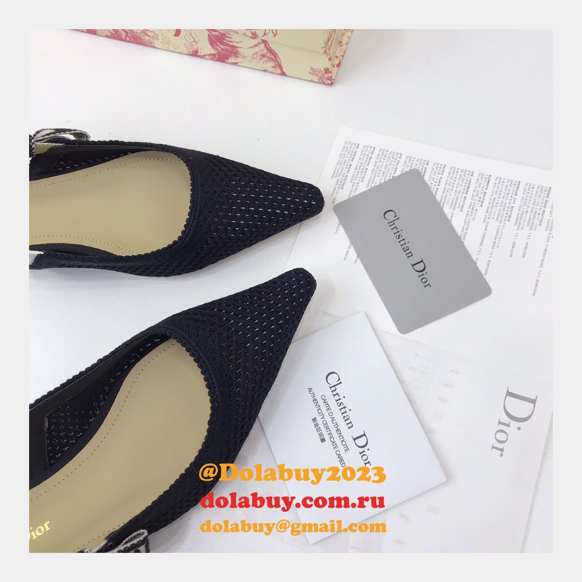 Luxury High Quality Fashion Designer Dior Shoes