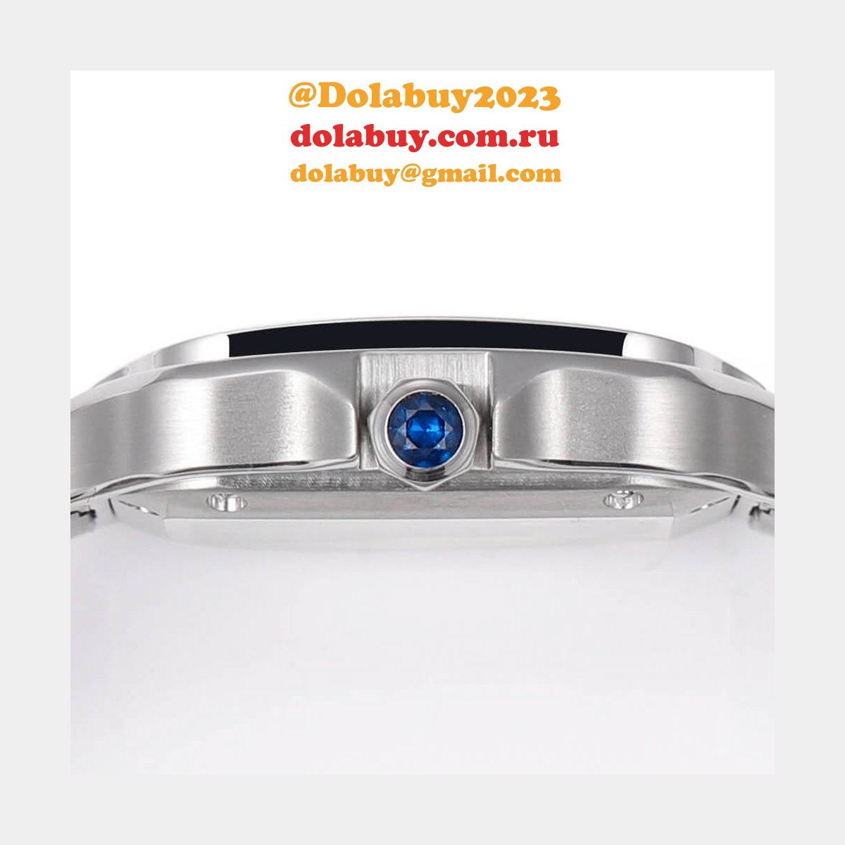 Cartier Medium Santos de Cartier watch