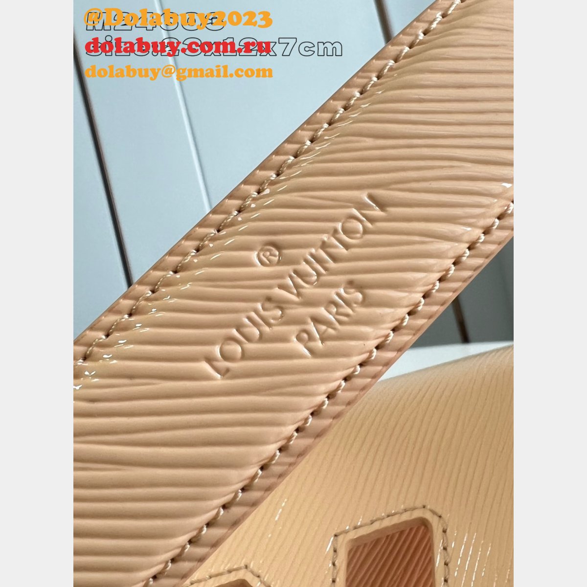 Louis Vuitton Designer Replicas Twist West Luxury M24603 Bag