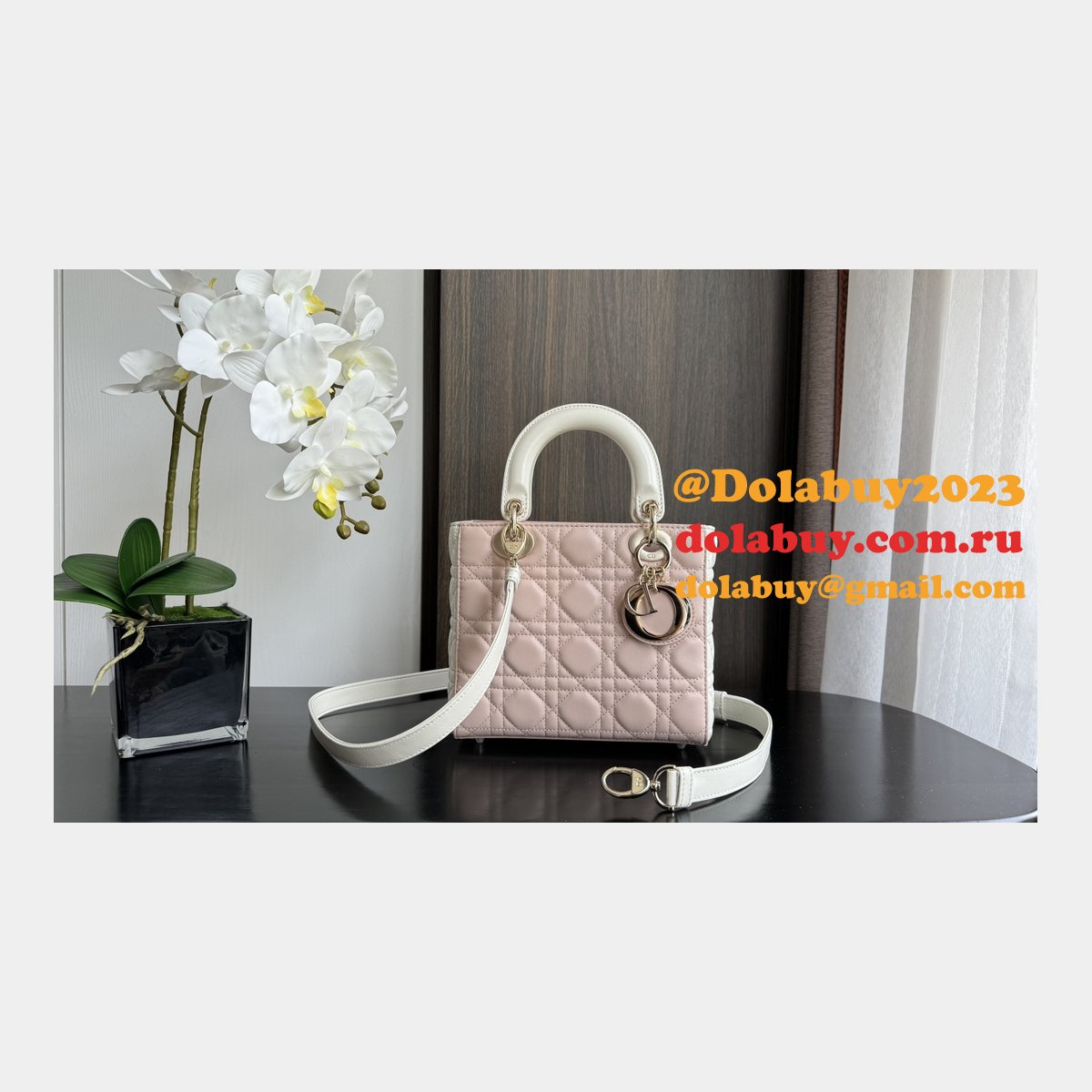 Perfect Quality Replica Christian Lady Dior 17/20cm Bags