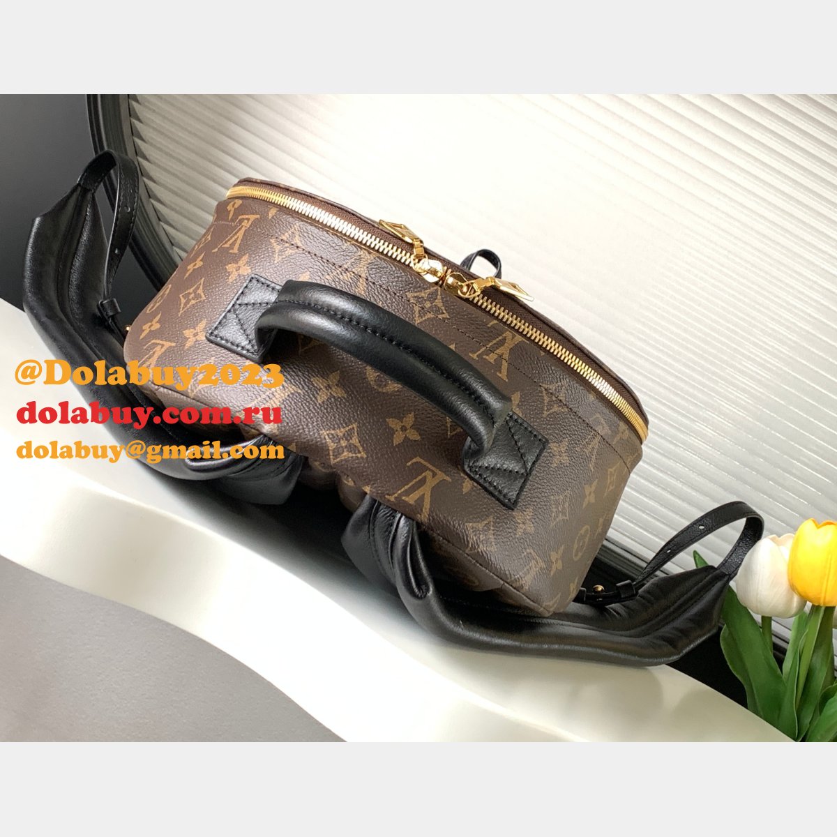 Top Quality Classical Palm Springs Louis Vuitton backpack