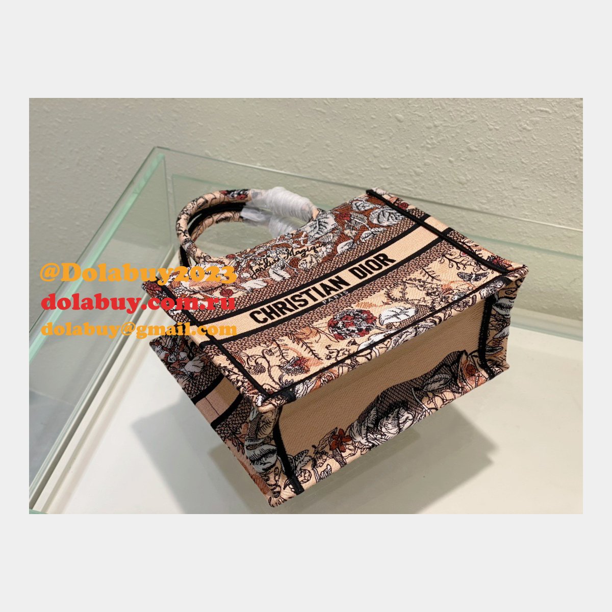 Christian Dior Tote CD Book Tote First Copy Replica Bag