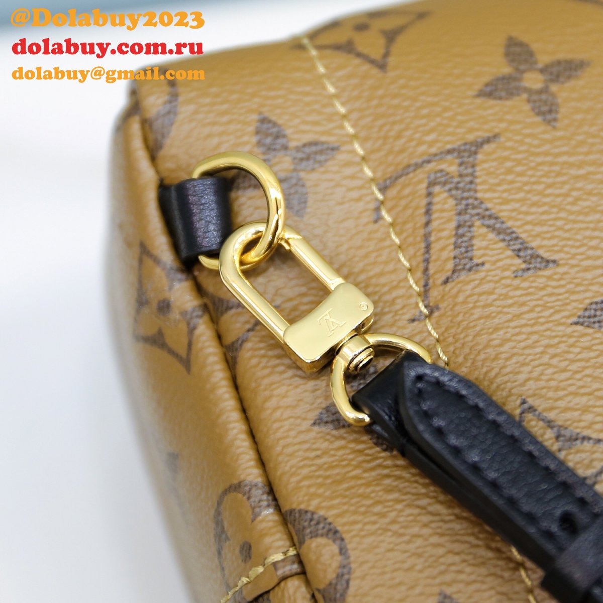 Louis Vuitton Top Quality Palm Springs Mini Monogram M44872 Brown
