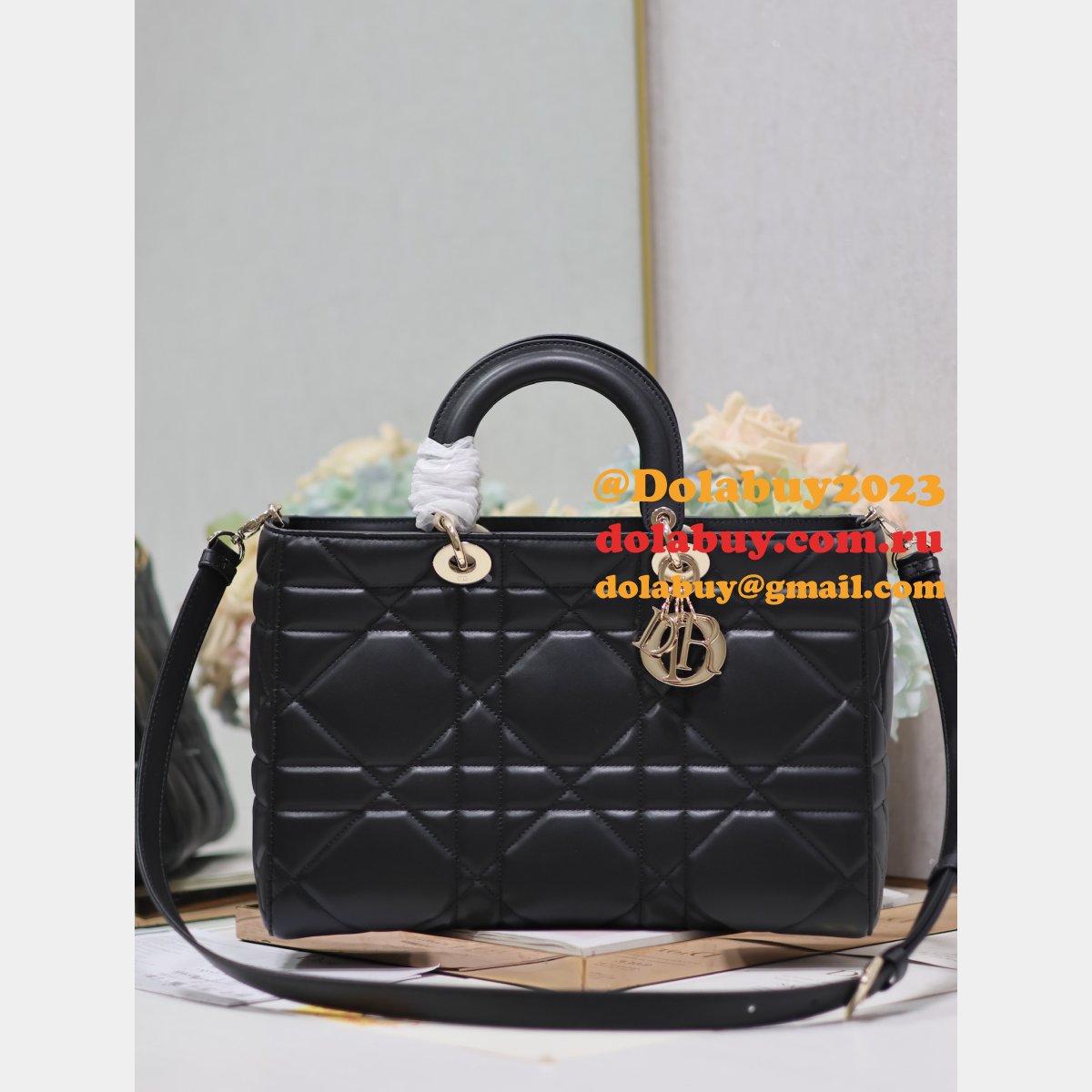 Top Quality Lady D-Sire My ABC Dior handbag