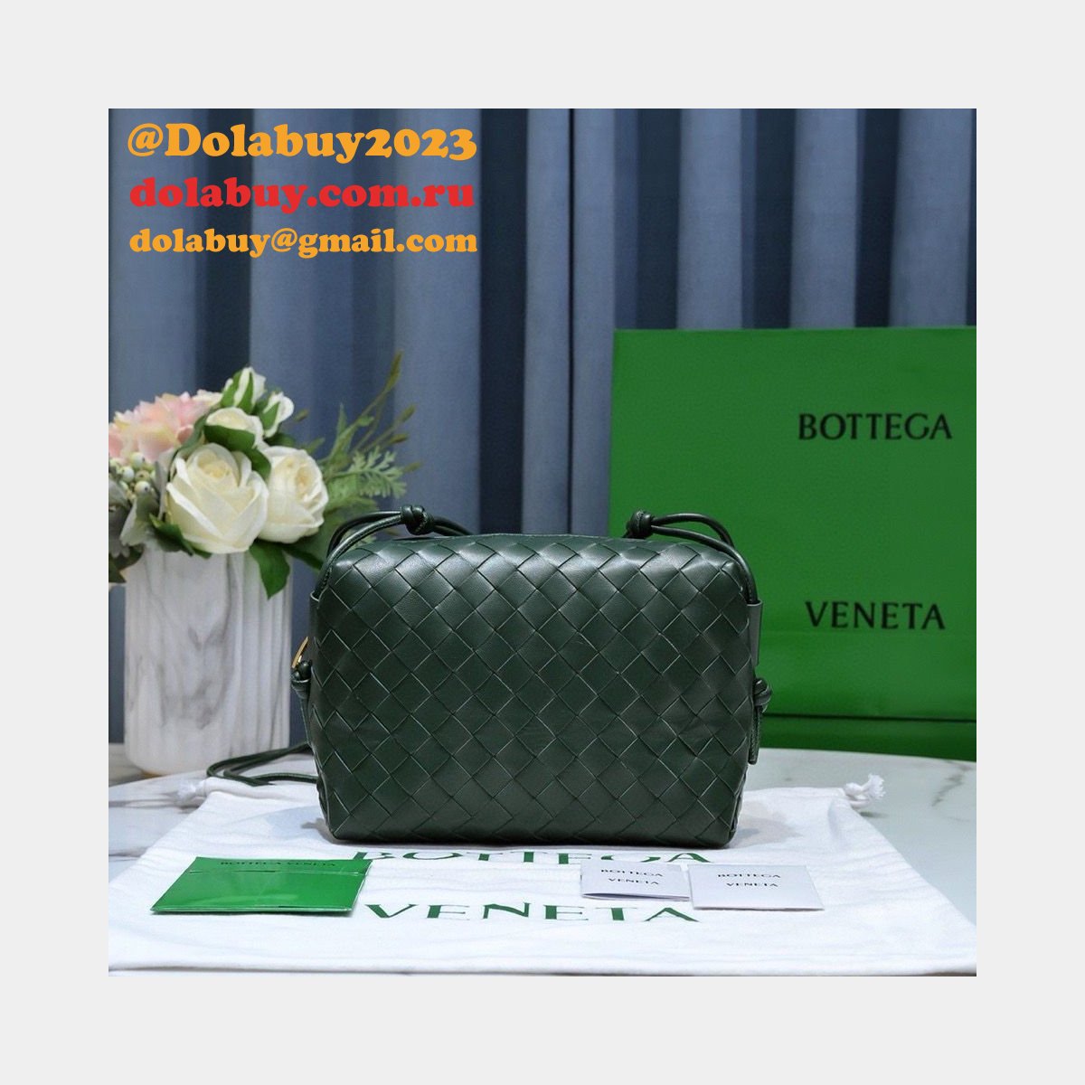BEST Bottega Veneta Loop Camera Perfect bag 22cm