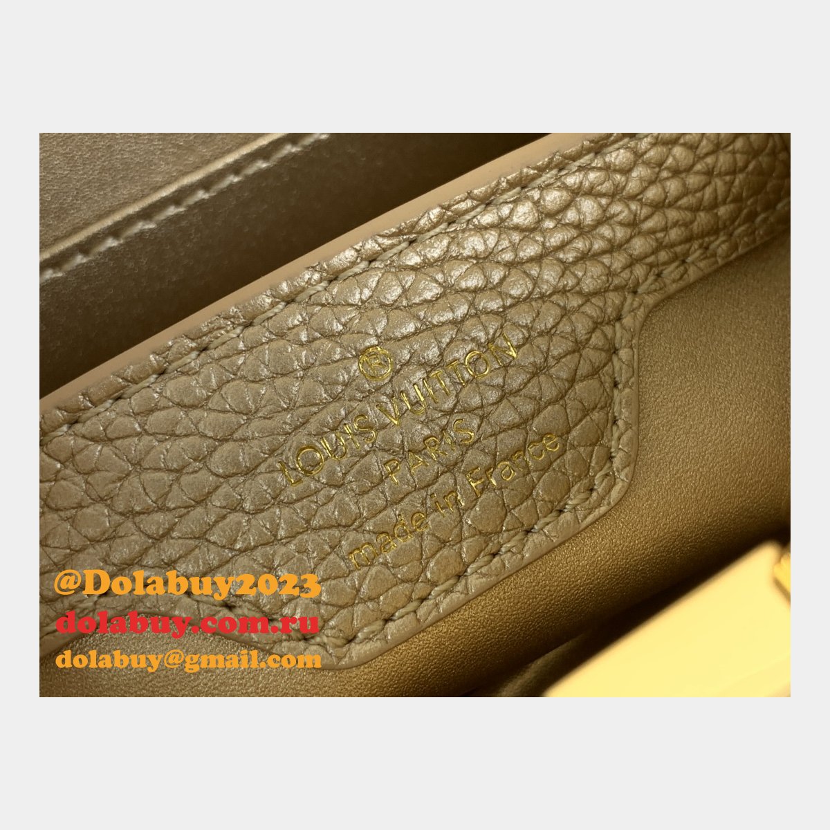 The Dolabuy Replica Capucines Louis Vuitton M48865 M24583 Bag