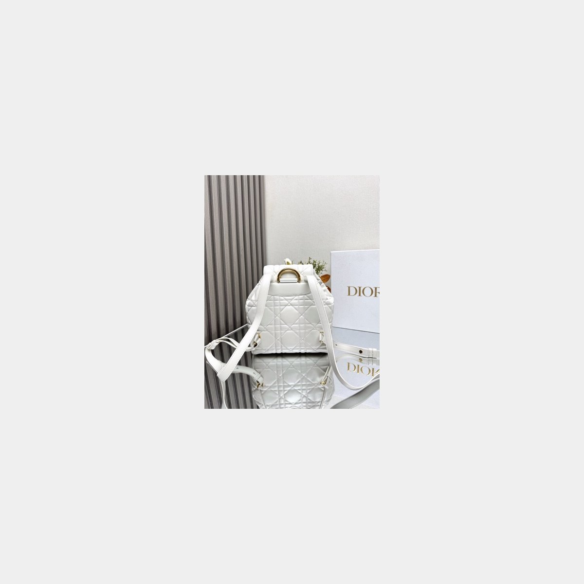 7 Star Medium Dior Caro Backpack