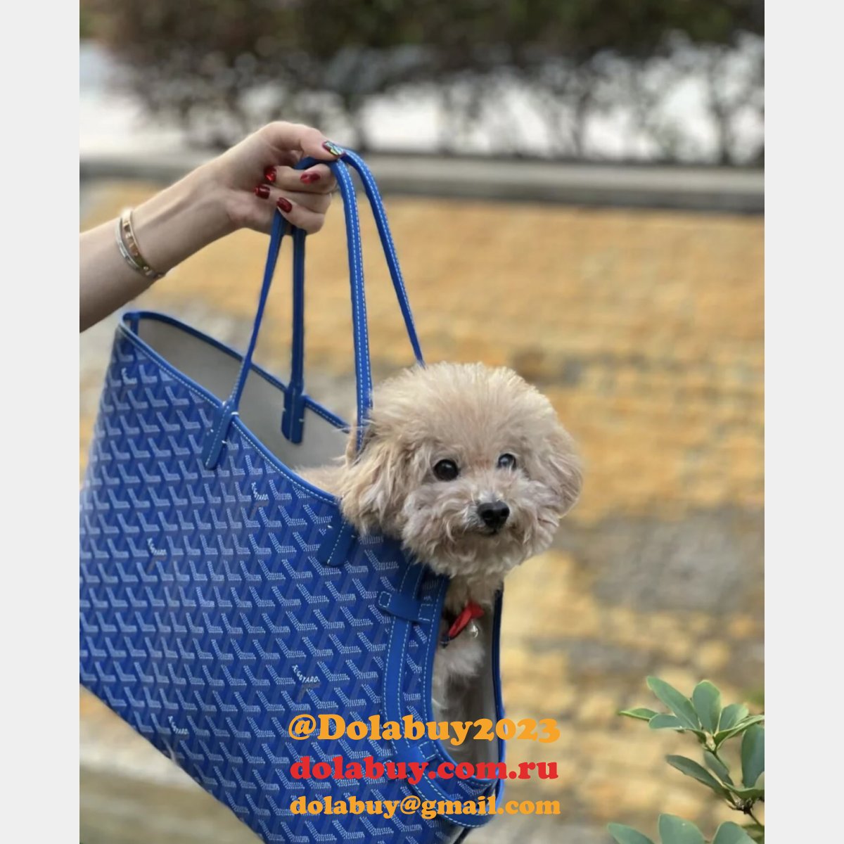 Cheap Goyard Chien Gris & Pocket Pet bag