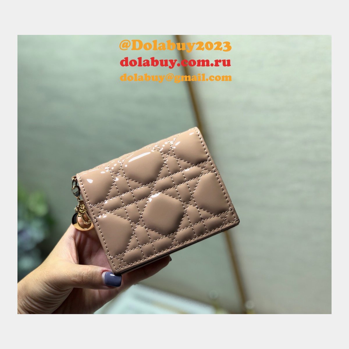 Top Dior wallet 002