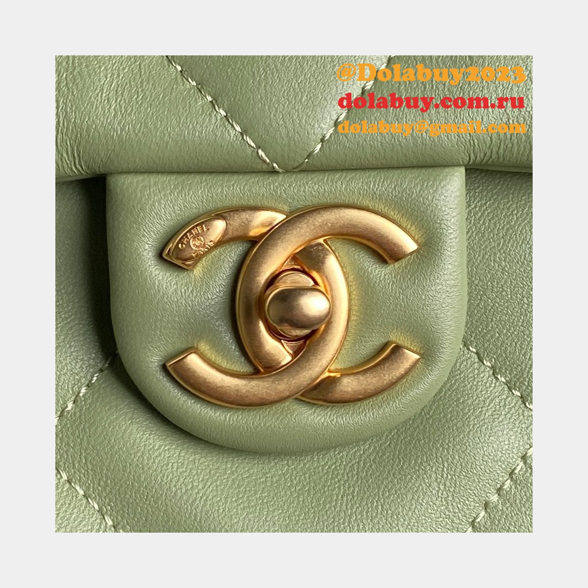 Buy Luxury First Copy AS5315 Shopping Shiny Bag