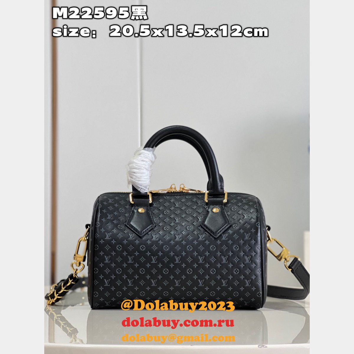 Speedy Replica Louis Vuitton M22595 Bandoulière 20 H27 Bag