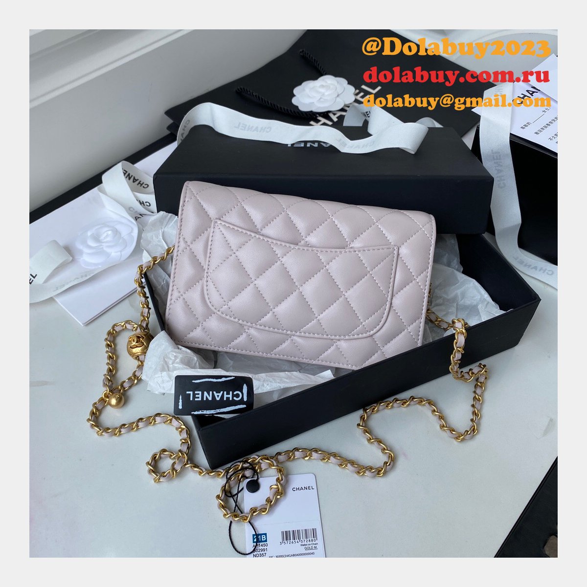 Replica 19CM Iridescent Wallet On Chain WOC AP1450 Bag