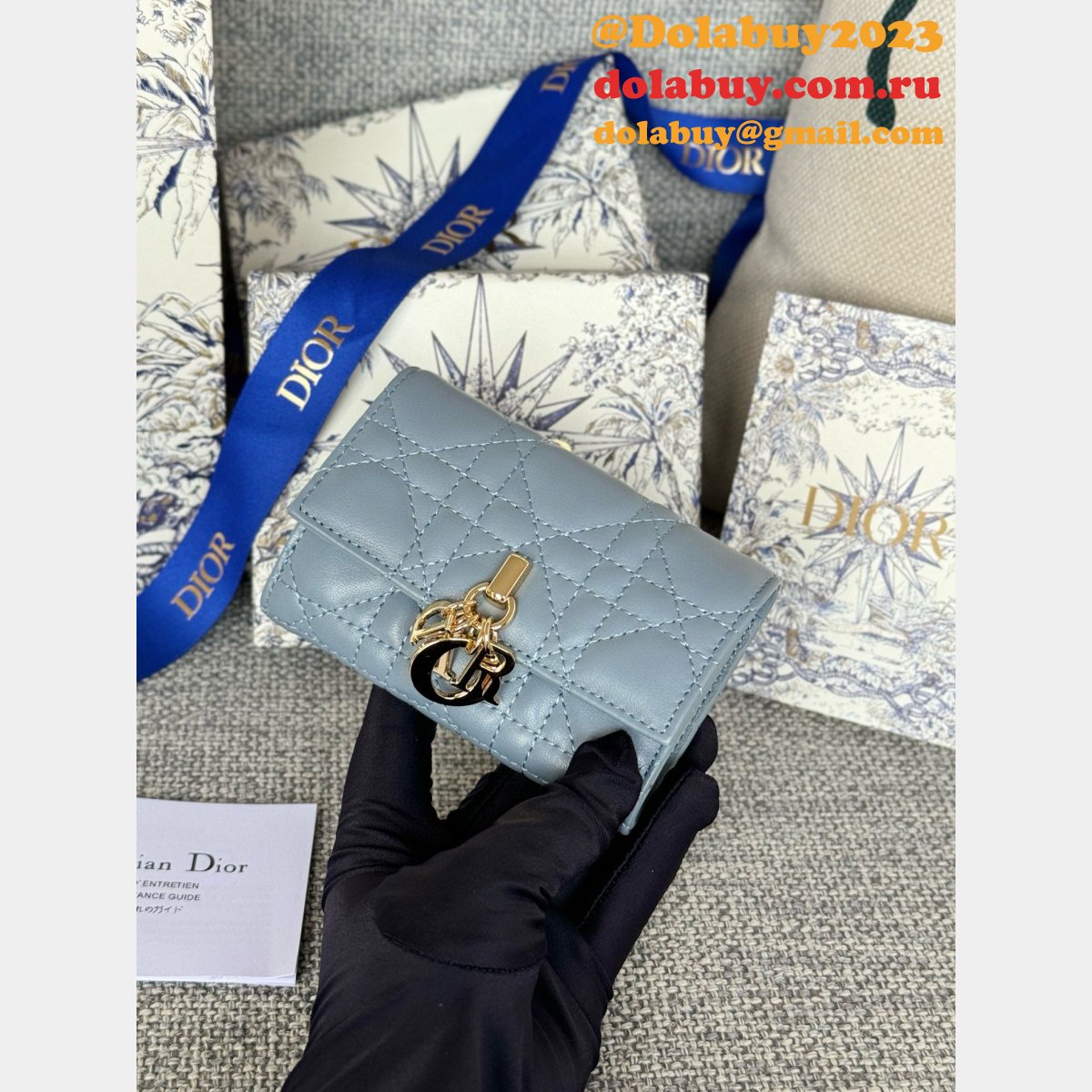 Wholesale Dior Lady Lamb Skin Wallet Inspired