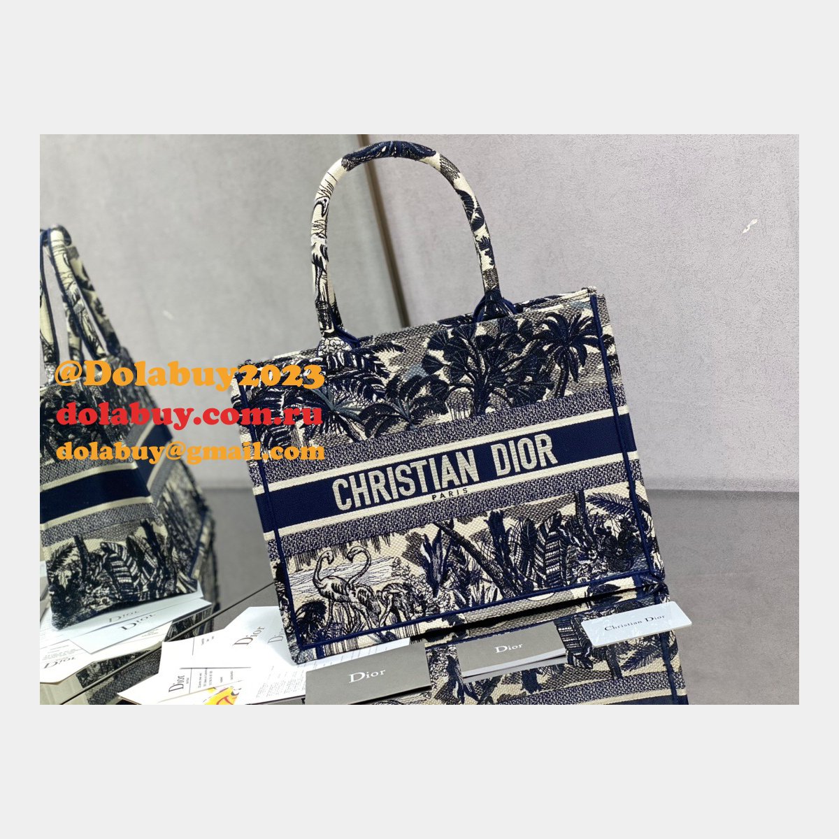 Dior CD Book Tote Bag for women Replica Designer bags