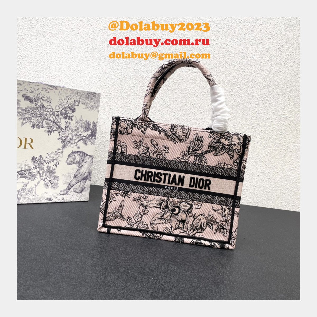 Perfect Designer DIOR CD BOOK TOTE Wholesale Inspired