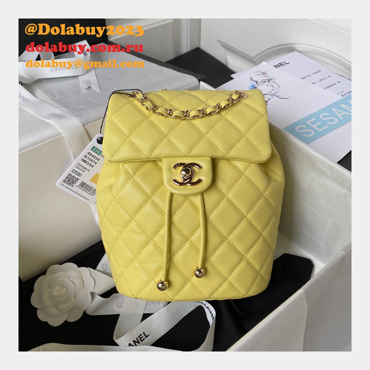 1:1 Luxury High Quality Replica Backpack AS4058 Bag 23cm