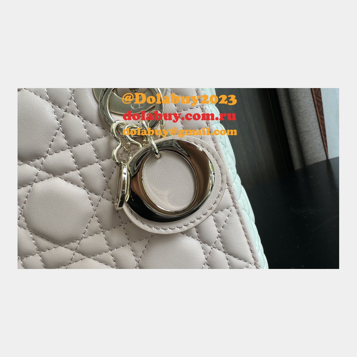 Perfect Quality Replica Christian Lady Dior 17/20cm Bags