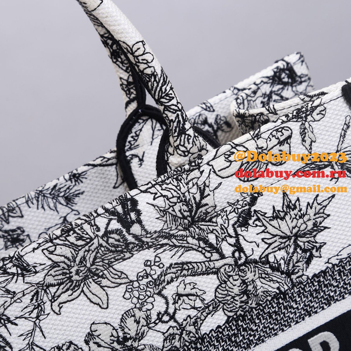 Knockoff Christian Dior Book Tote Top Quality bag