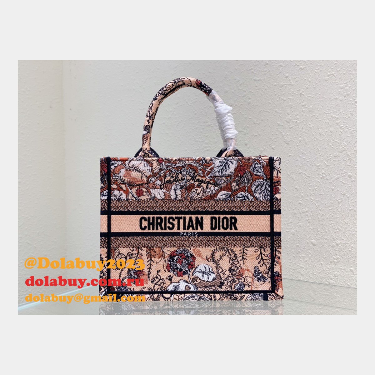 Christian Dior Tote CD Book Tote First Copy Replica Bag