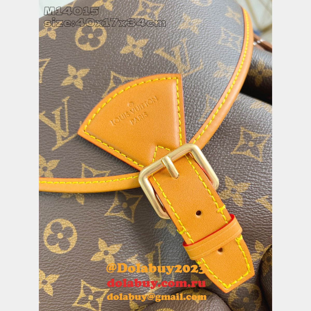 Montsouris Cargo Backpack Louis Vuitton M14015 Luxury G69 Brown