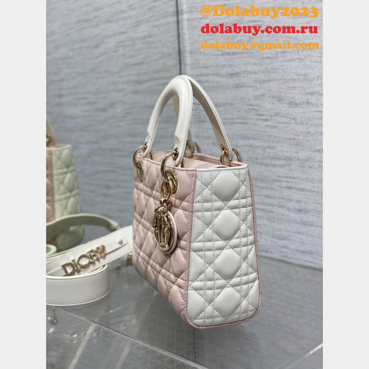 Perfect Quality Replica Christian Lady Dior 17/20cm Bags