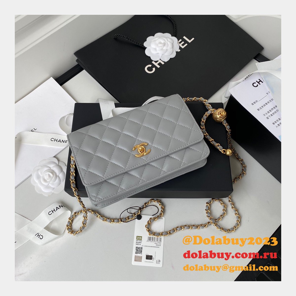 Replica 19CM Iridescent Wallet On Chain WOC AP1450 Bag