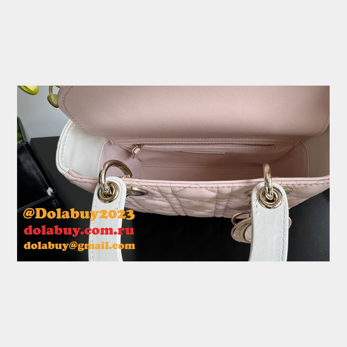 Perfect Quality Replica Christian Lady Dior 17/20cm Bags