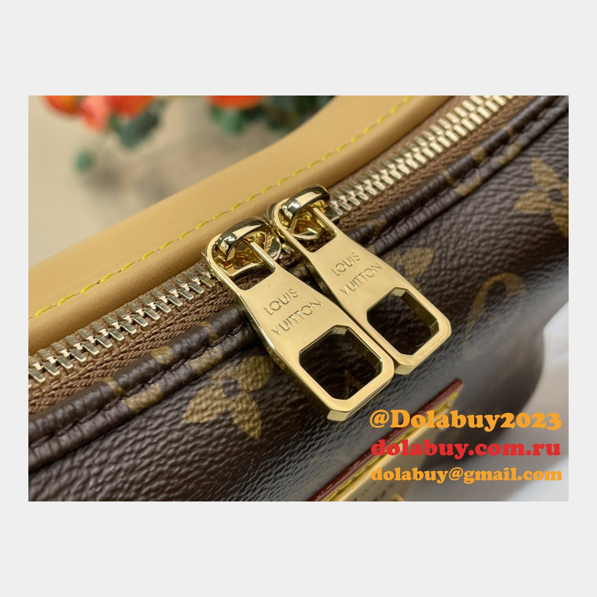 Louis Vuitton M12615 Bone Wearable Wallet Monogram Bag