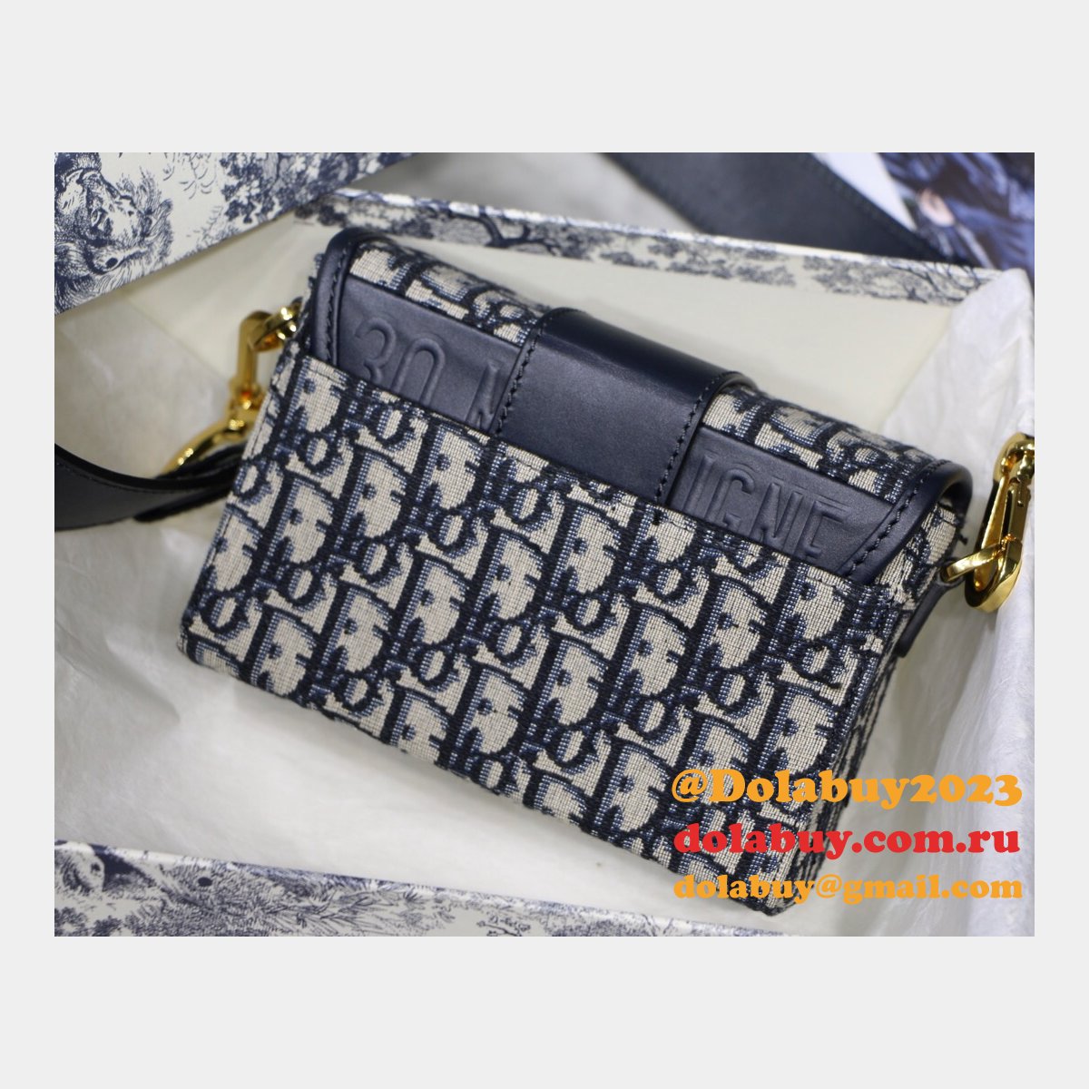 Best Dior Montaigne minibox