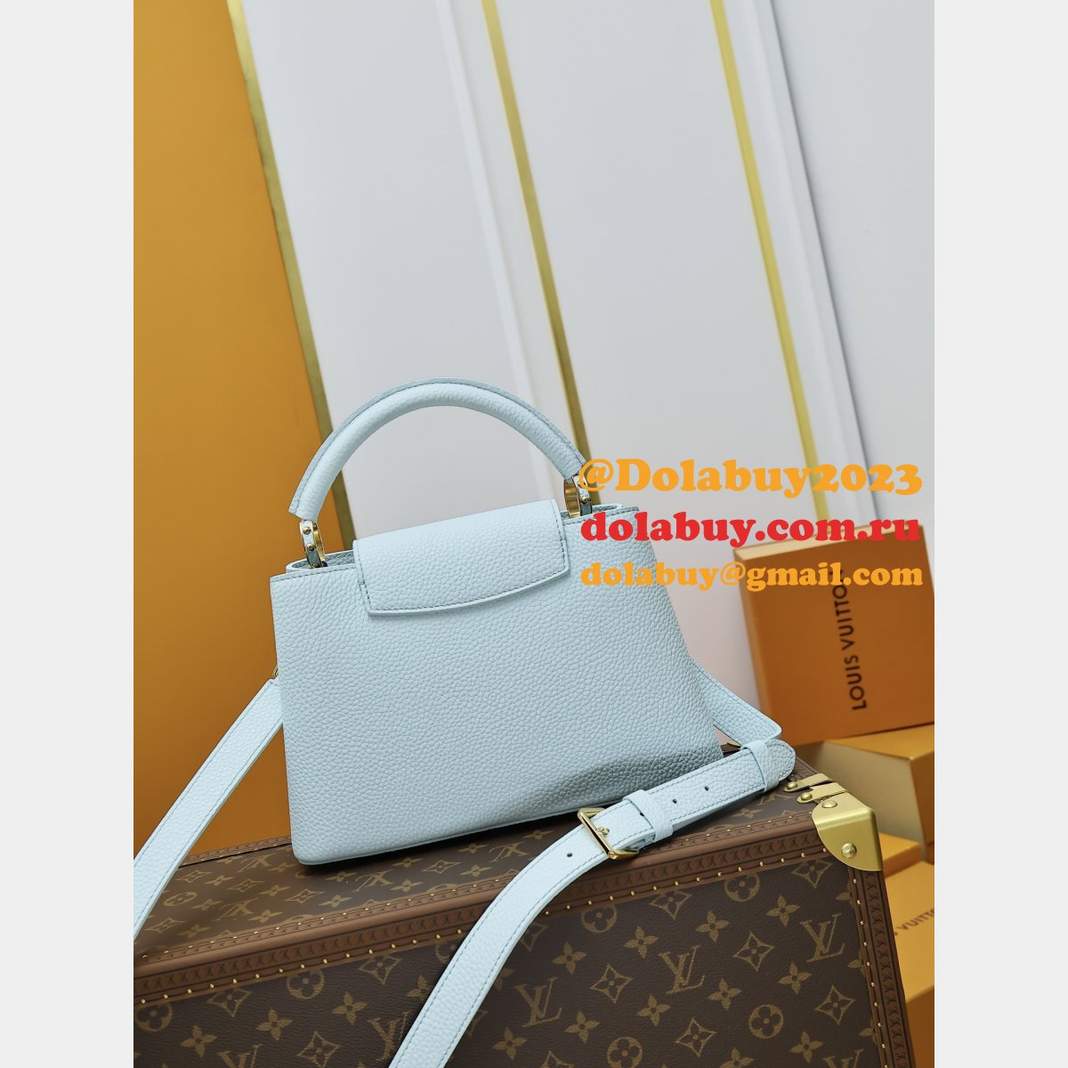 Luxury Designer Louis Vuitton Capucines BB M24728 Handbag