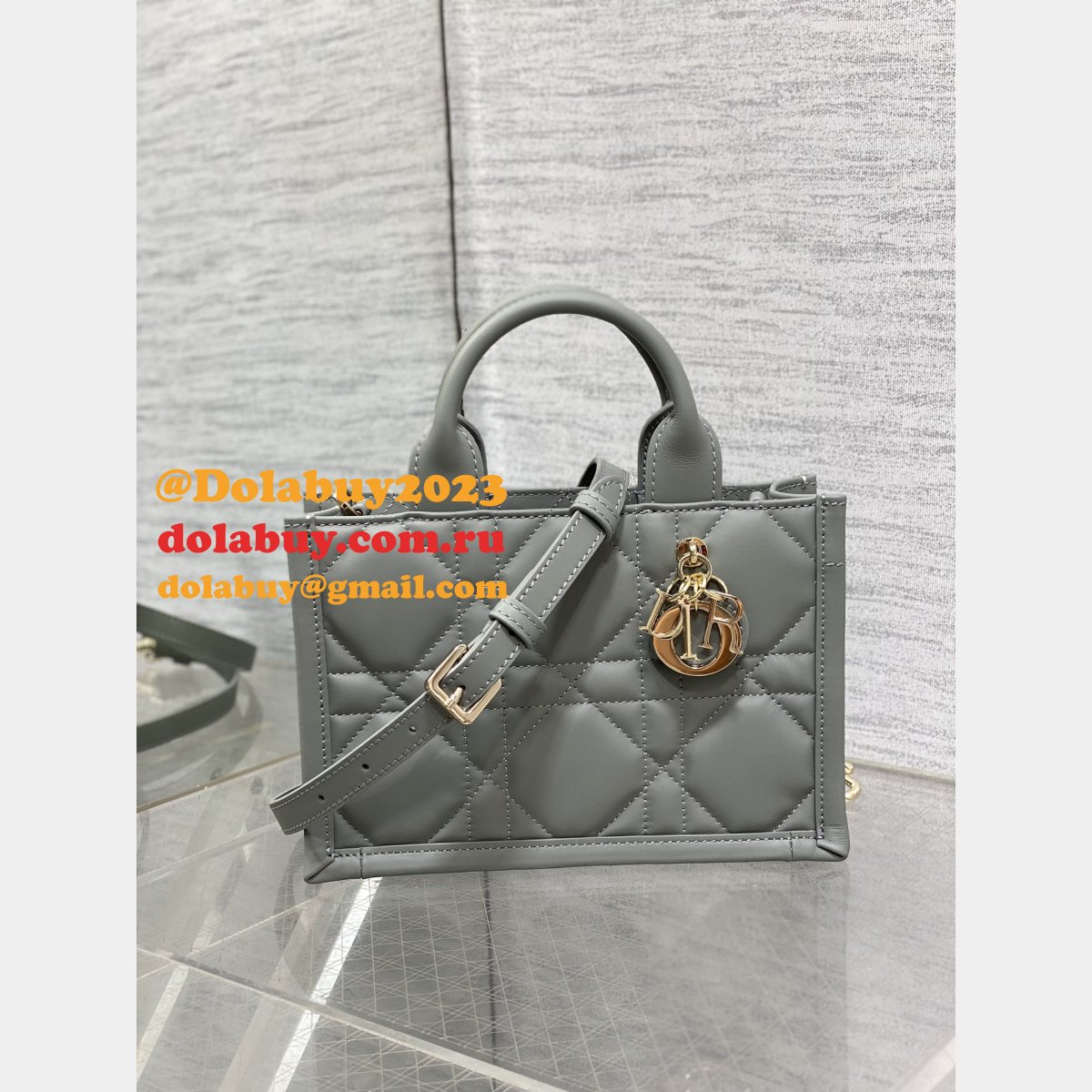 Luxury Designer dior small /mini dior book tote 2024