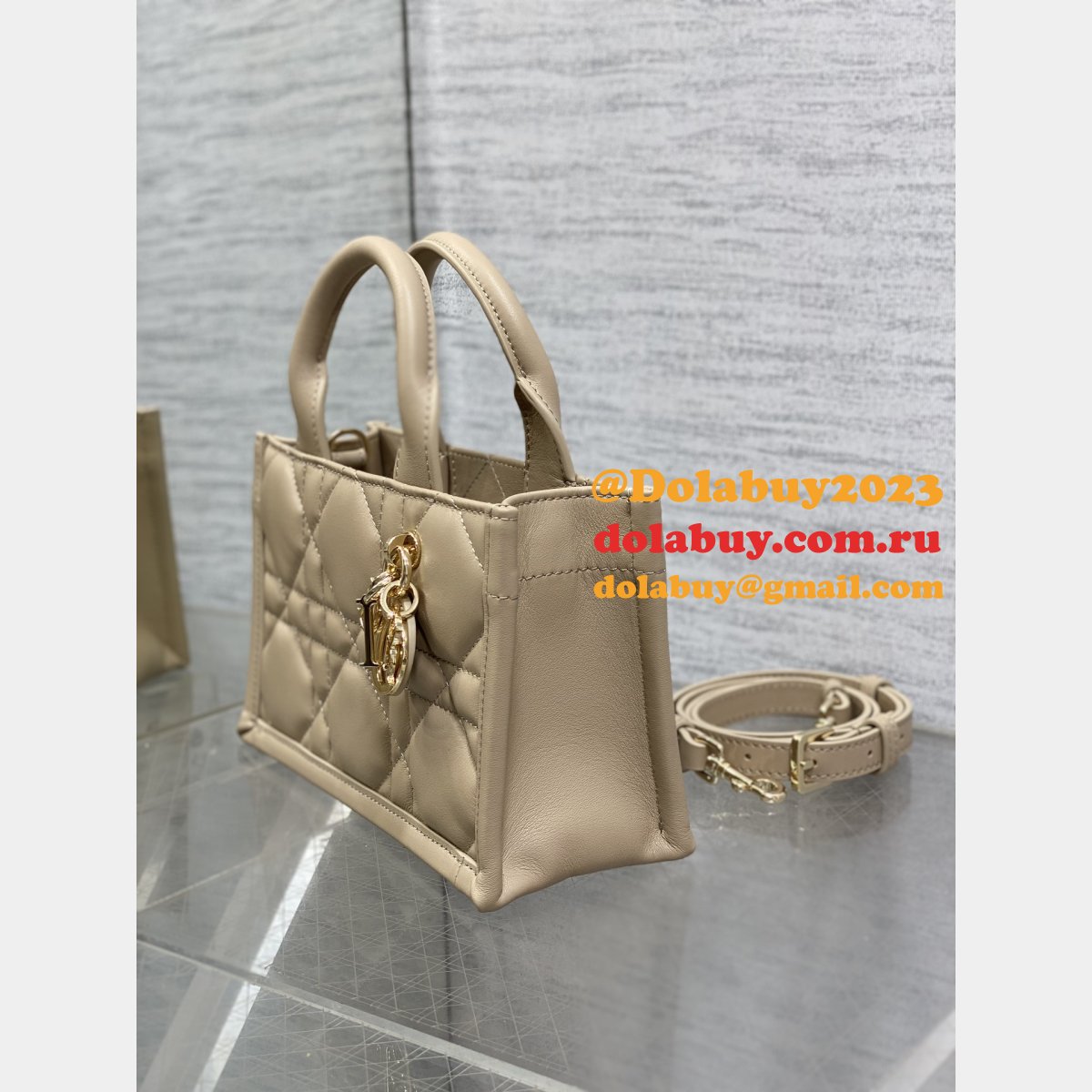 Luxury Designer dior small /mini dior book tote 2024