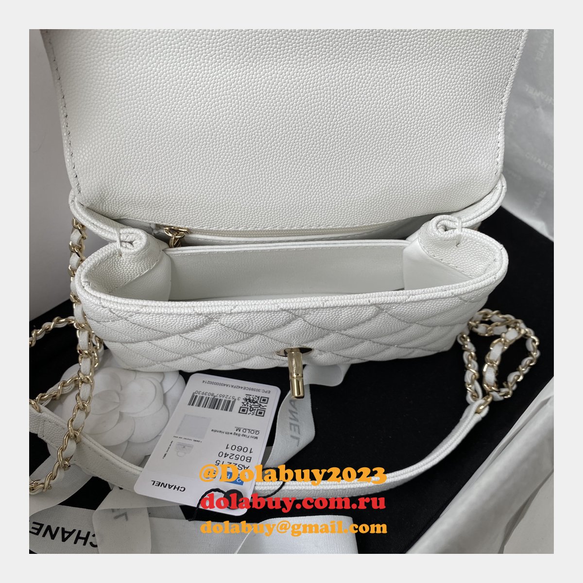 Dolabuy Replica Bags Online AS2215 CAVIAR Bag 19cm