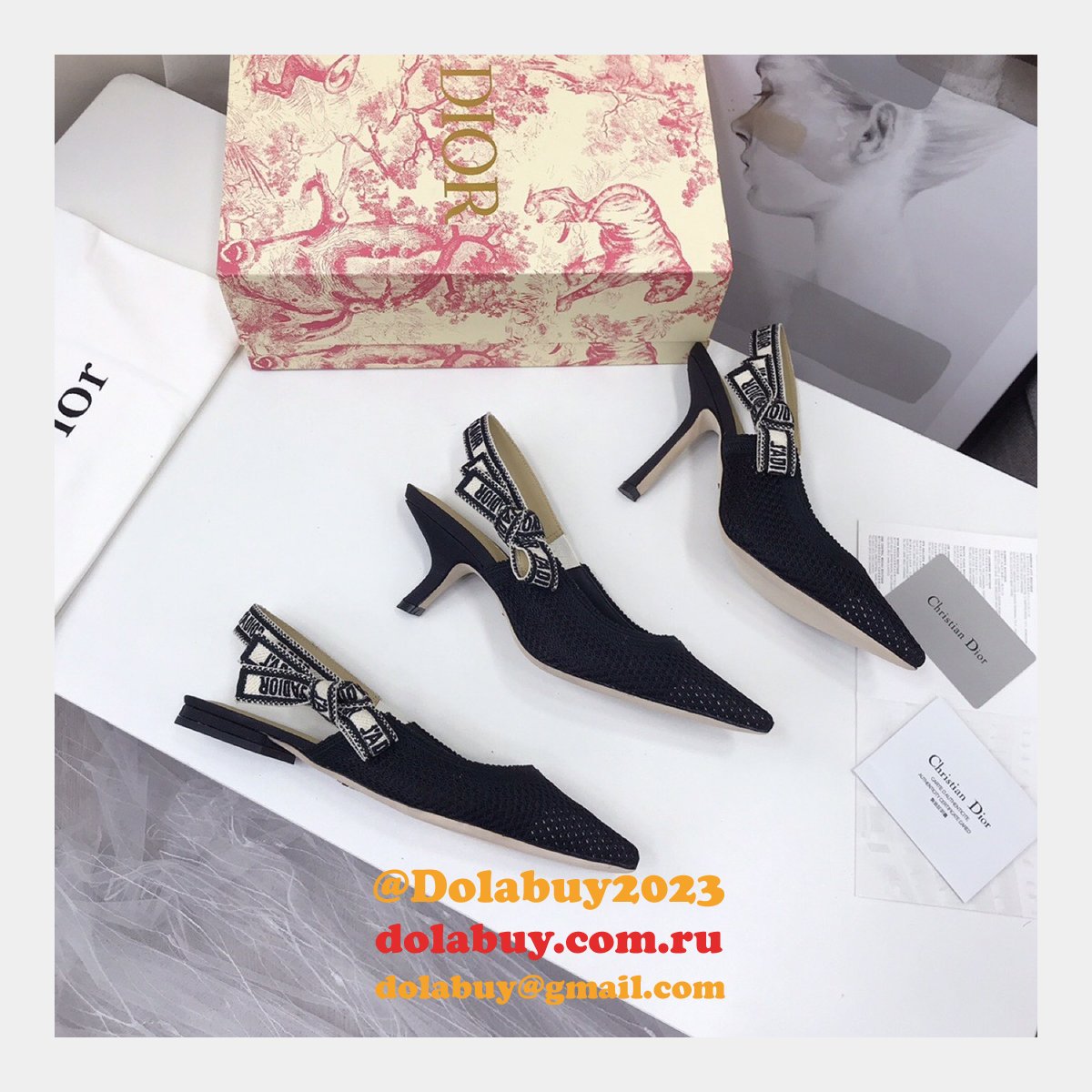 Luxury High Quality Fashion Designer Dior Shoes