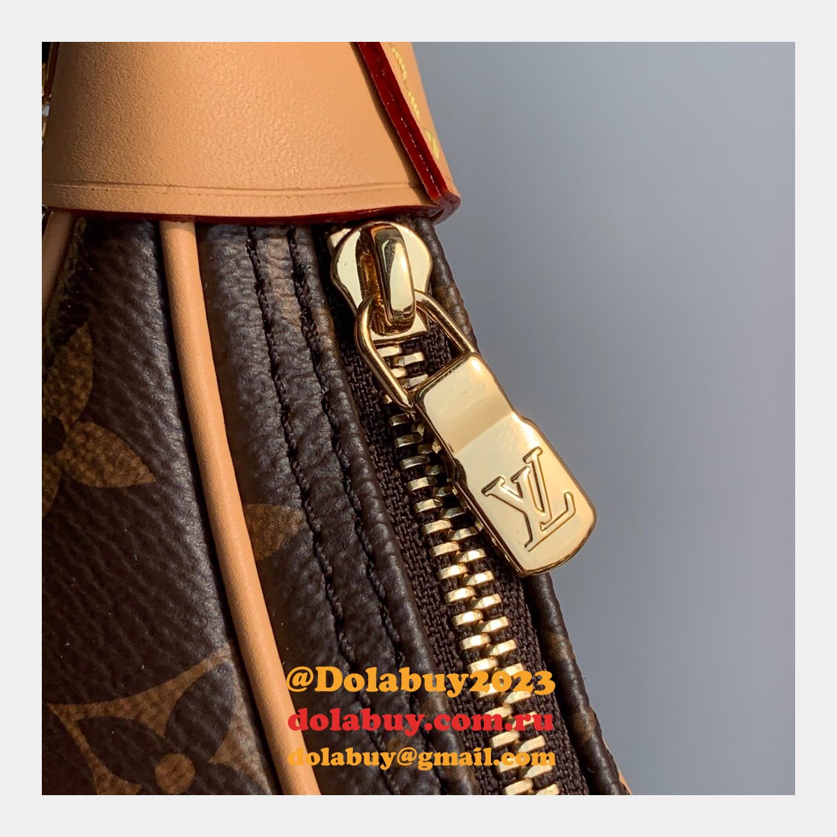 How To Buy China Louis Vuittons M44036 Monogram Canvas Bags