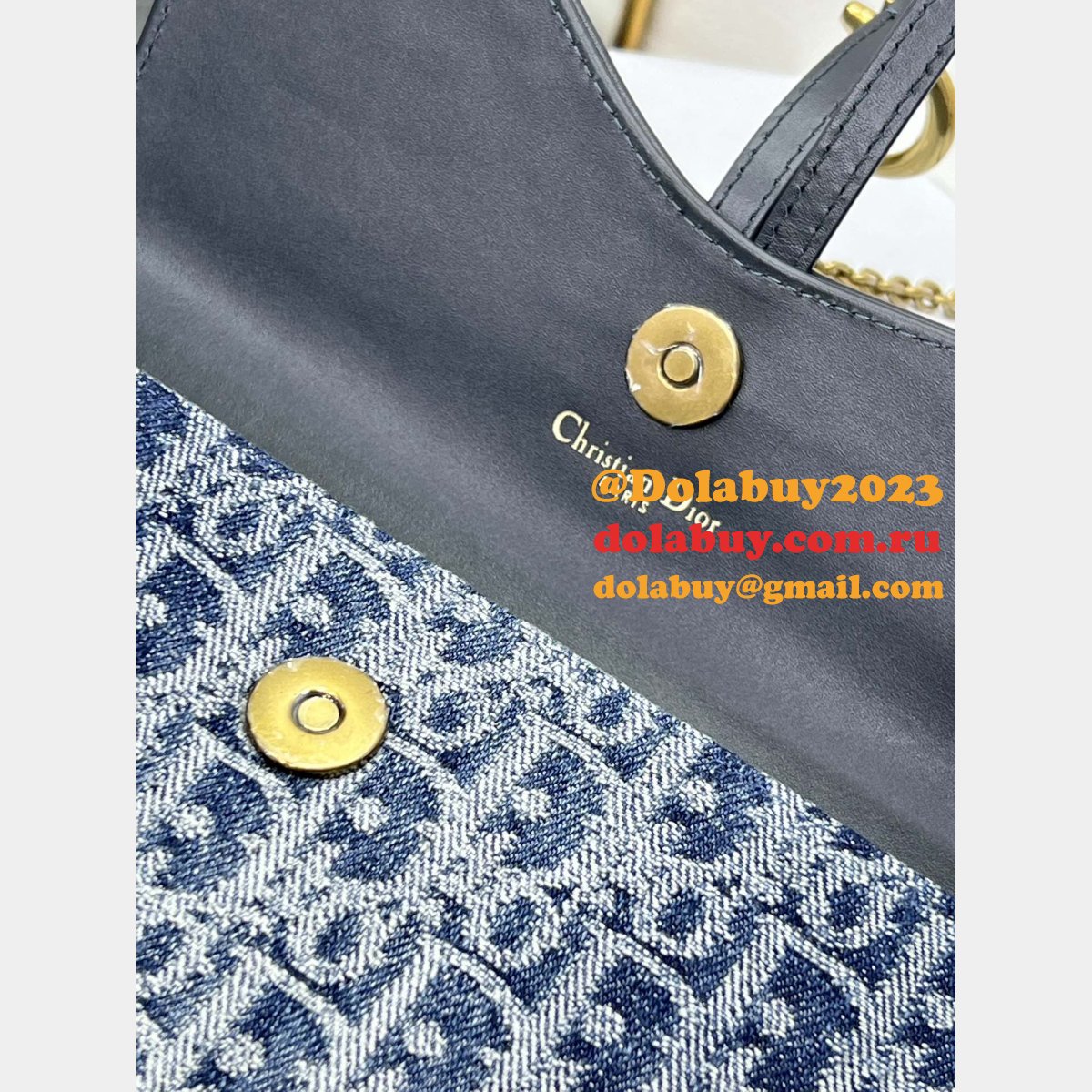 Christian Dior Shop Inspired Saddle Pouch Chain 2045 Bag