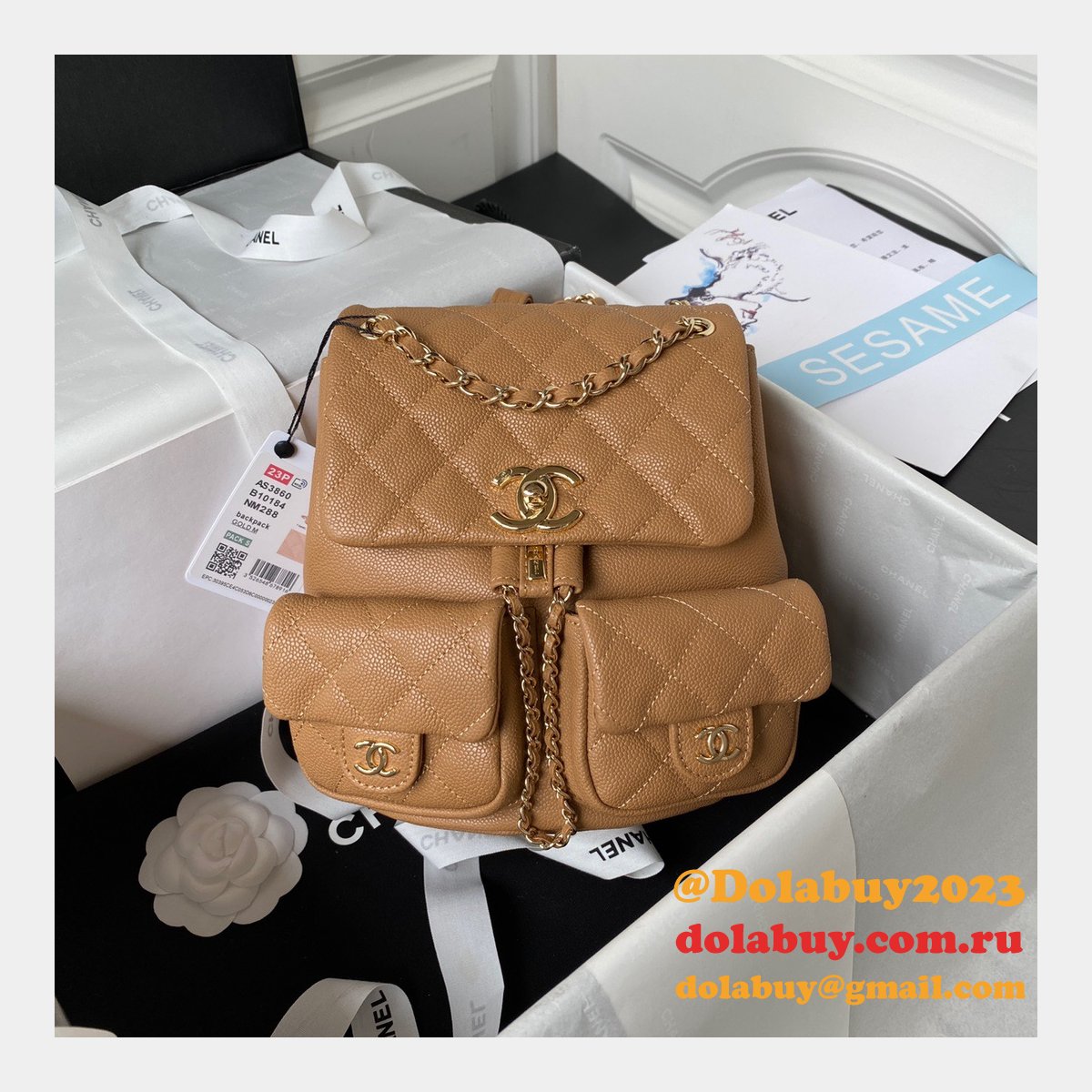 Wholesales High Quality Backpack AS3860/AS3787 Store Bag