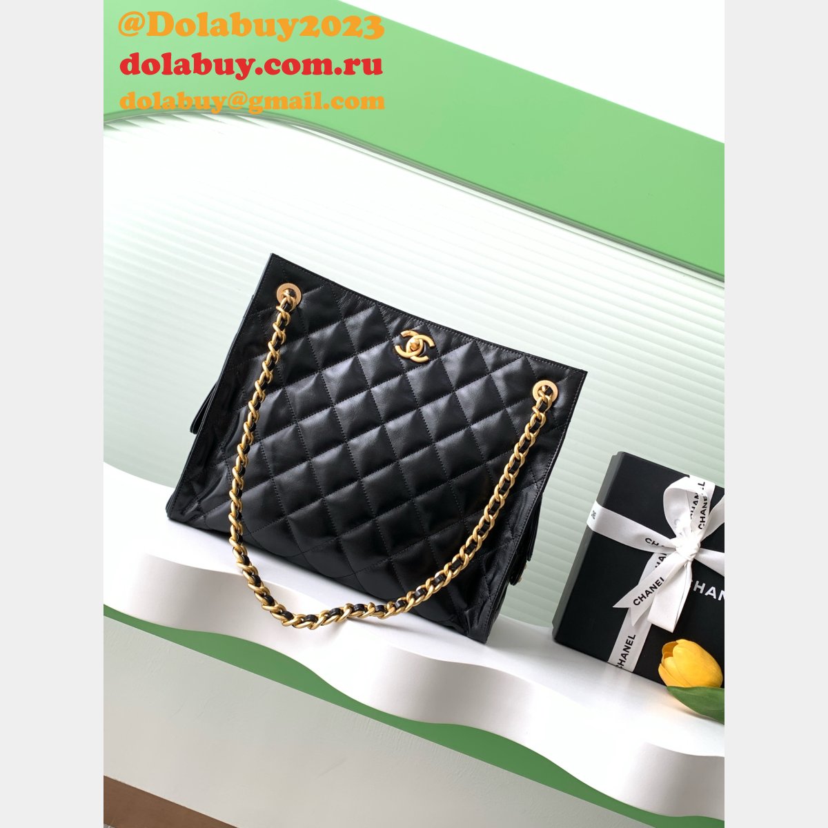 Top Quality AAA+ Replica AS5303 Backpack Shiny Lambskin Bag