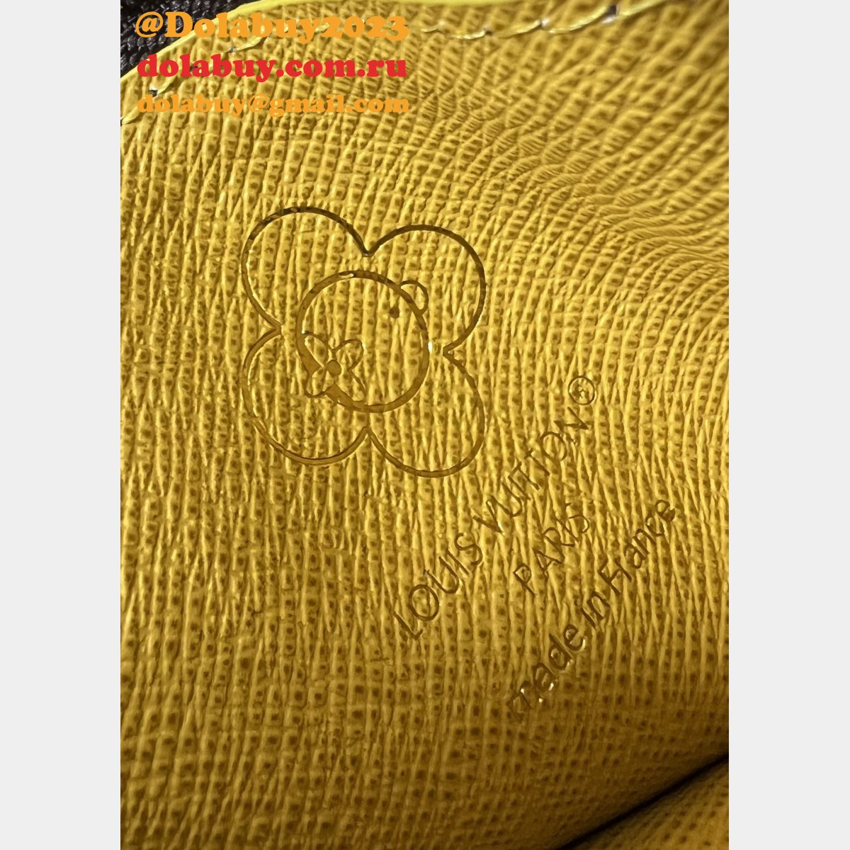 Louis Vuitton Designer Zippy Nano Noé Lisa Wallet Knockoff