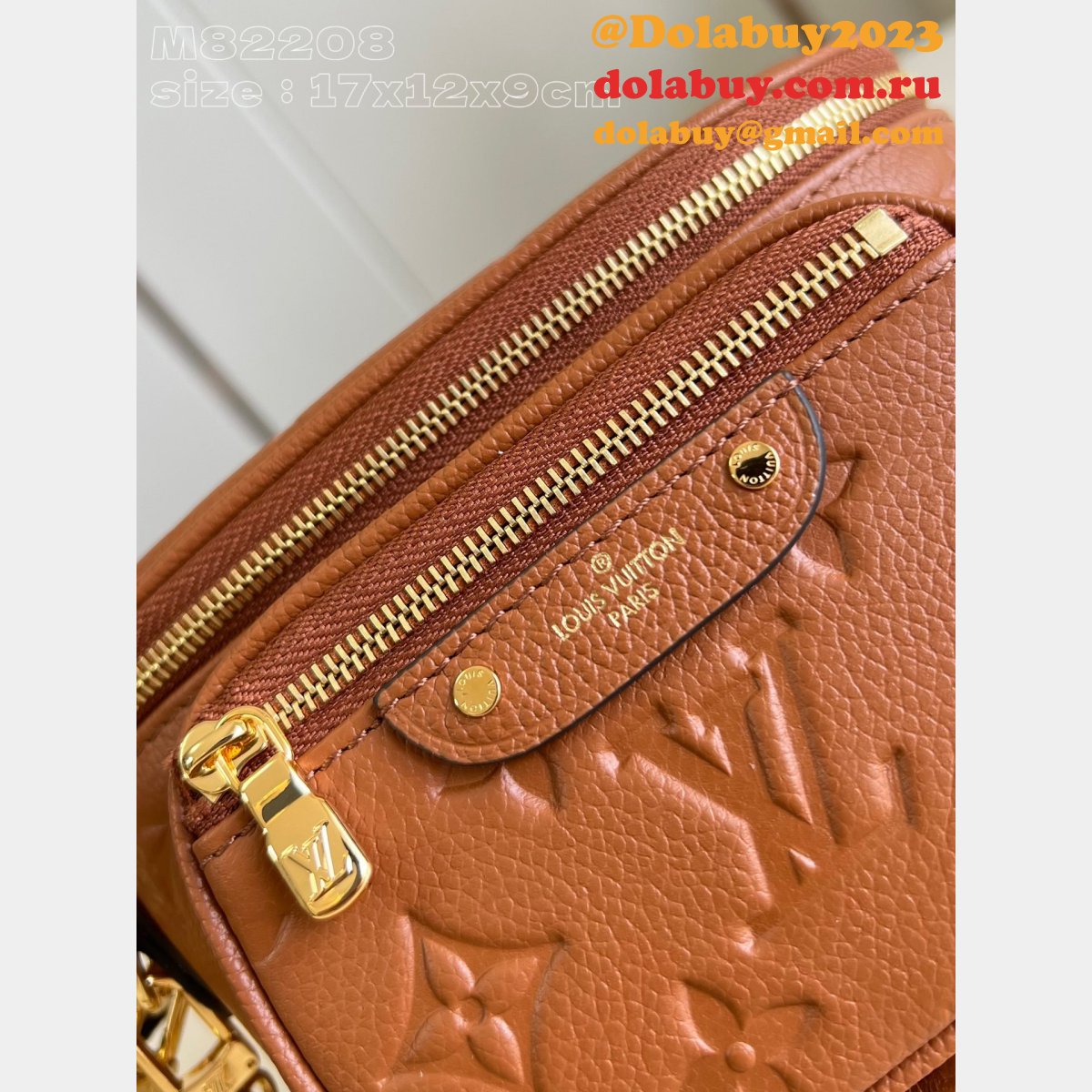 Designer M82208 Louis Vuitton Duplicate Bumbag Monogram Empreinte Bag