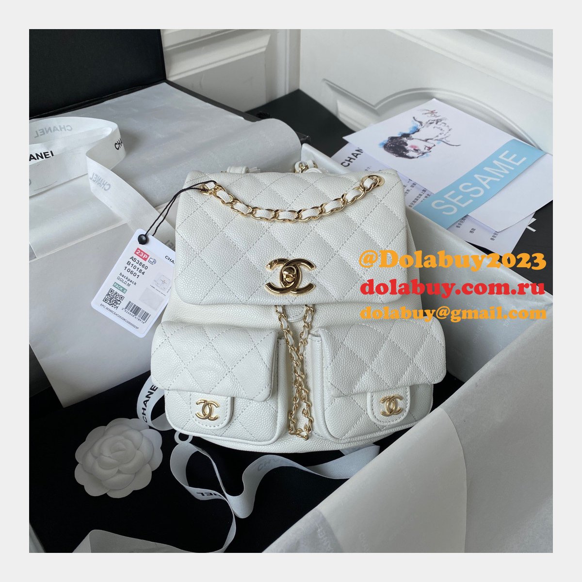 Wholesales High Quality Backpack AS3860/AS3787 Store Bag