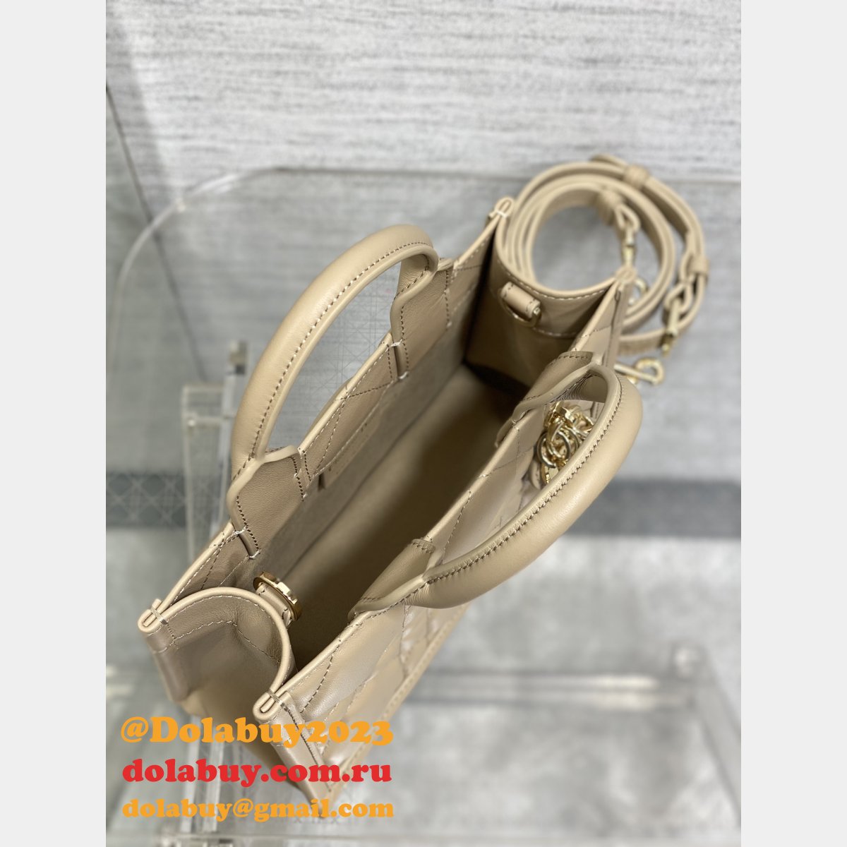 Luxury Designer dior small /mini dior book tote 2024