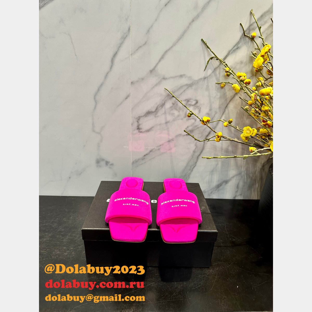 High Quality Luxury Alexander Wang Shoes Replica