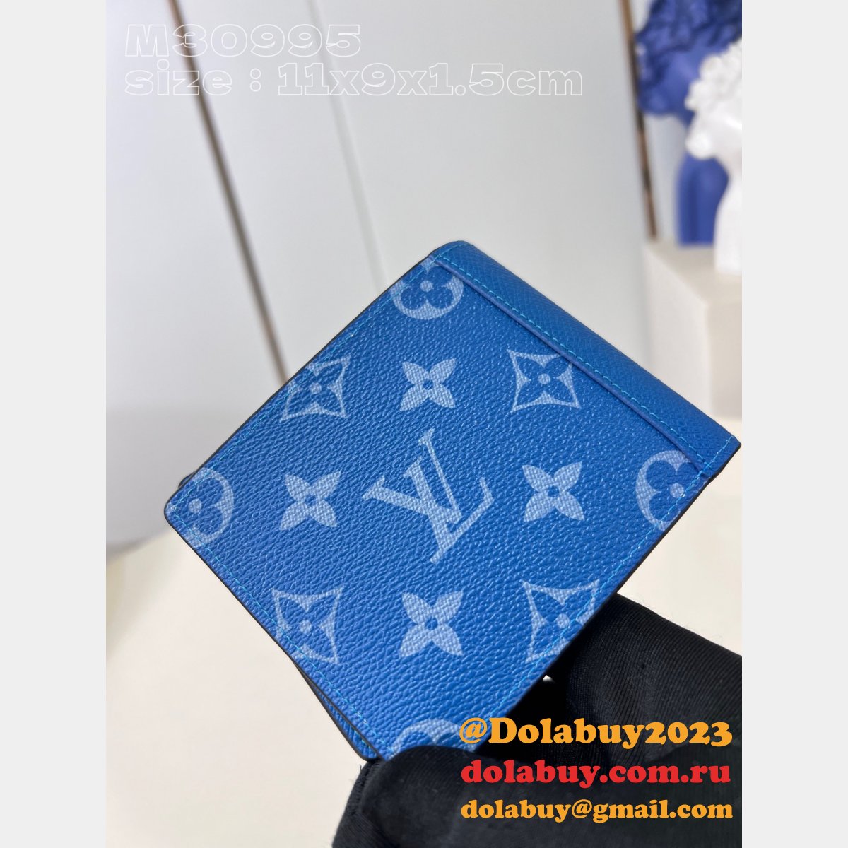 M30994/M30993/M30999/M30995/M31041 LV Zippy Brazza Coin Multiple Pocket Organizer