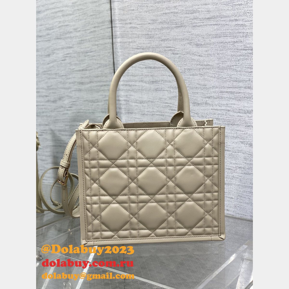 Luxury Designer dior small /mini dior book tote 2024