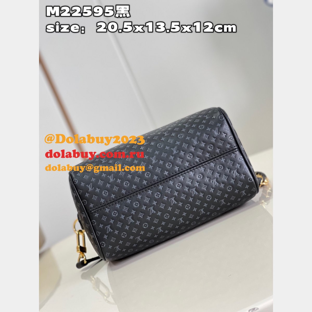 Speedy Replica Louis Vuitton M22595 Bandoulière 20 H27 Bag