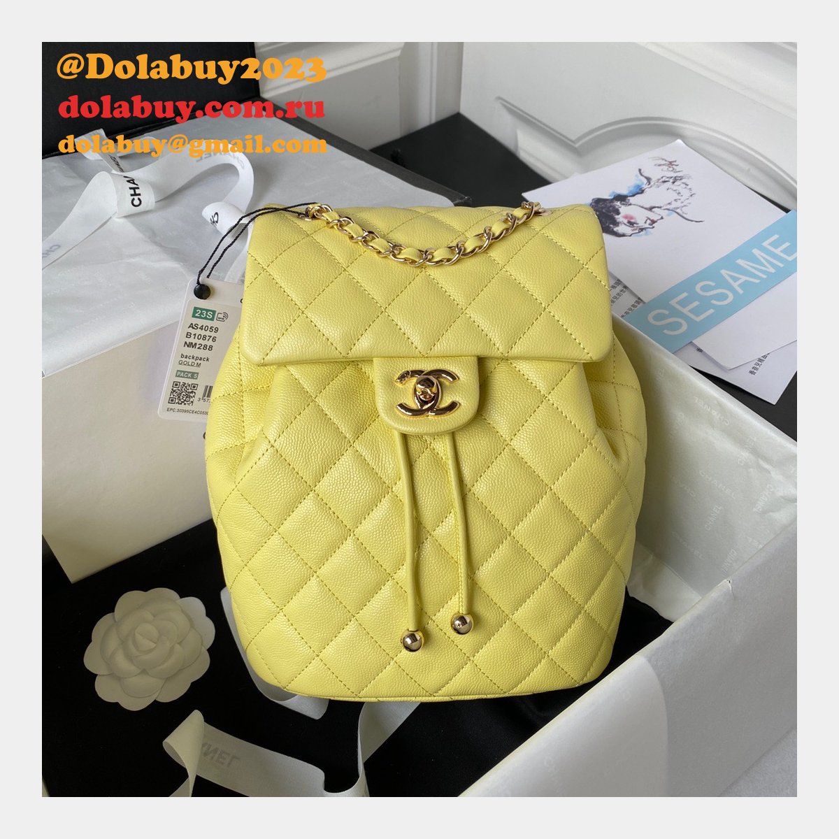 Designer Replica AS4059 Backpacks for Dolabuy Sale 25CM